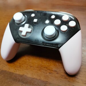Nintendo Switch Proコントローラー カスタム品