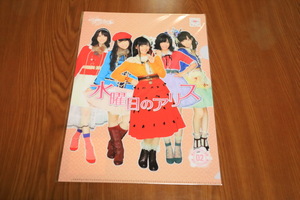 【AKB48 Team SURPRISE】クリアファイル 02 水曜日のアリス 重力シンパシー公演 未使用 未開封 新品 即決　送料無料