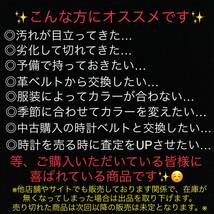 男女兼用★48mm用☆カラーが選べるM字金具付　ガガミラノ ホワイト ラバーベルト マヌアーレ クロノグラフ等 腕時計 交換バンド_画像2