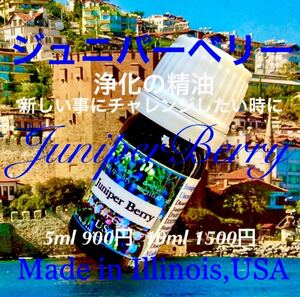 【新出発・浄化の精油】ジュニパーベリー精油5ml(10ml出品可)