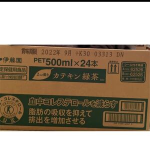 カテキン緑茶 1ケース