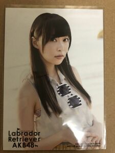 HKT48 指原莉乃 AKB48 ラブラドールレトリバー 通常盤 生写真