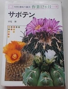 NHK hobby. gardening work 12. month 5 cactus flat tail .( work ) Showa era 53 year 