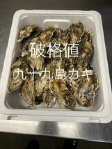 九十九島かき　9キロ（滅菌処理済み）　真牡蠣　殻付き牡蠣（8〜11個/kg）　　在庫一掃_画像1