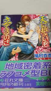 ☆天に誓いを立てるのさ☆　　鳩村衣杏／実相寺紫子　　　　花丸文庫