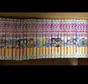 ハーメルンのバイオリン弾き 1~28