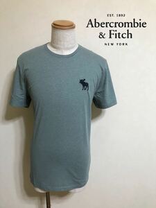 【新品】 Abercrombie & Fitch アバクロンビー&フィッチ エクスプローテッド アイコン Tシャツ サイズXL 半袖 ライトブルーグリーン