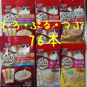 銀のスプーン三ツ星グルメ とろ・ぷる・つぶリッチ 計76本★猫ちゅーるおやつ★ぷるつぶ
