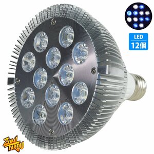 LED 電球 スポットライト 24W(2W×12)白6青6 水槽 照明 E26 水草 LEDスポットライト 電気 水草 サンゴ 熱帯魚 観賞魚 植物育成