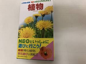 小学館の図鑑 NEO POCKET 植物