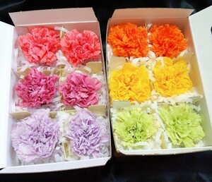 プリザーブドフラワー 花材 スタンダードカーネーション アソート
