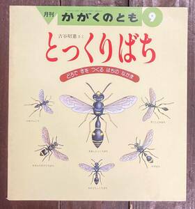 【即決】とっくりばち どろですをつくるはちのなかま/吉谷昭憲/かがくのとも 246号/福音館書店/絵本/ペーパーバック/蜂