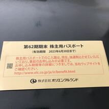 東京ディズニーリゾート ディズニーシー ディズニーチケット チケット2枚　株主優待_画像3