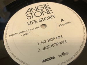 12”★Angie Stone / Life Story / Full Crew / Booker T / R&Bハウス ！