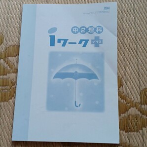 中2理解　1ワークプラス 啓林館