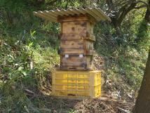 純粋100％ 日本蜜蜂の蜂蜜 1200g ”おかげさん” 愛媛県産 国産はちみつ 日本ミツバチ ハチミツ みつばち 天然百花蜜 自然食品オーガニック_画像2