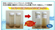 水素カプセル　約3か月分 水素サプリ めぐり 体内サイクル活発 抗酸化 活性酸素 むくみ 水分 老廃物 排出 ダイエット 健康 シードコムス ♪_画像5