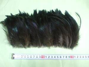  handicrafts mask costume beautiful feather ( black ) approximately 100ps.@ hat decoration 