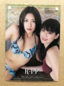 矢吹春奈　黒沢ゆう子　さくら堂 2004　SP-8　スペシャルクリアカード　水着 グラビア アイドル トレカ トレーディングカード