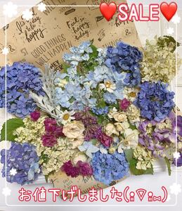 ドライフラワー 花材 詰め合わせ *No.2