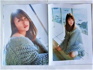 川栄李奈◆◇切り抜き２０ページファイル冊子◇◆