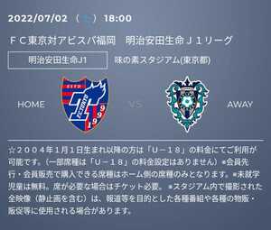 FC東京vs福岡 ホーム自由席
