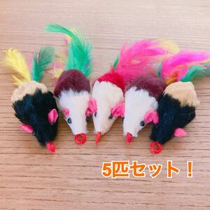 【最安値！】猫 ネズミ おもちゃ 5匹セット！
