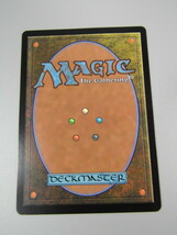 81-KC856-P: MTG マジックザギャザリング Magic: The Gathering 新緑の地下墓地 土地R JP_画像2