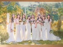 LOVELYZ (ラブリーズ)　3種類3枚セット　CD　B2サイズポスター　ロブリズ　　K-POP　R U Ready？　_画像3