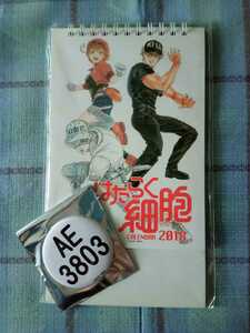 はたらく細胞 2018 卓上 カレンダー(赤血球、白血球、キラーT、マクロファージ等)特典缶バッジ（AE3803）付き