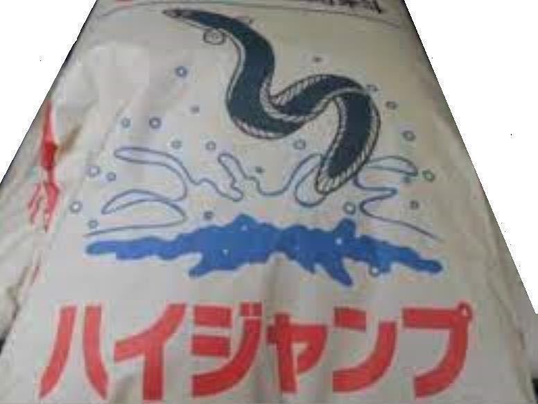 ウナギ養鰻場飼料 １０キロ 粉餌 罠餌 釣りエサ 家庭用味噌プラスで活性集魚力強 Www Vetrepro Fr