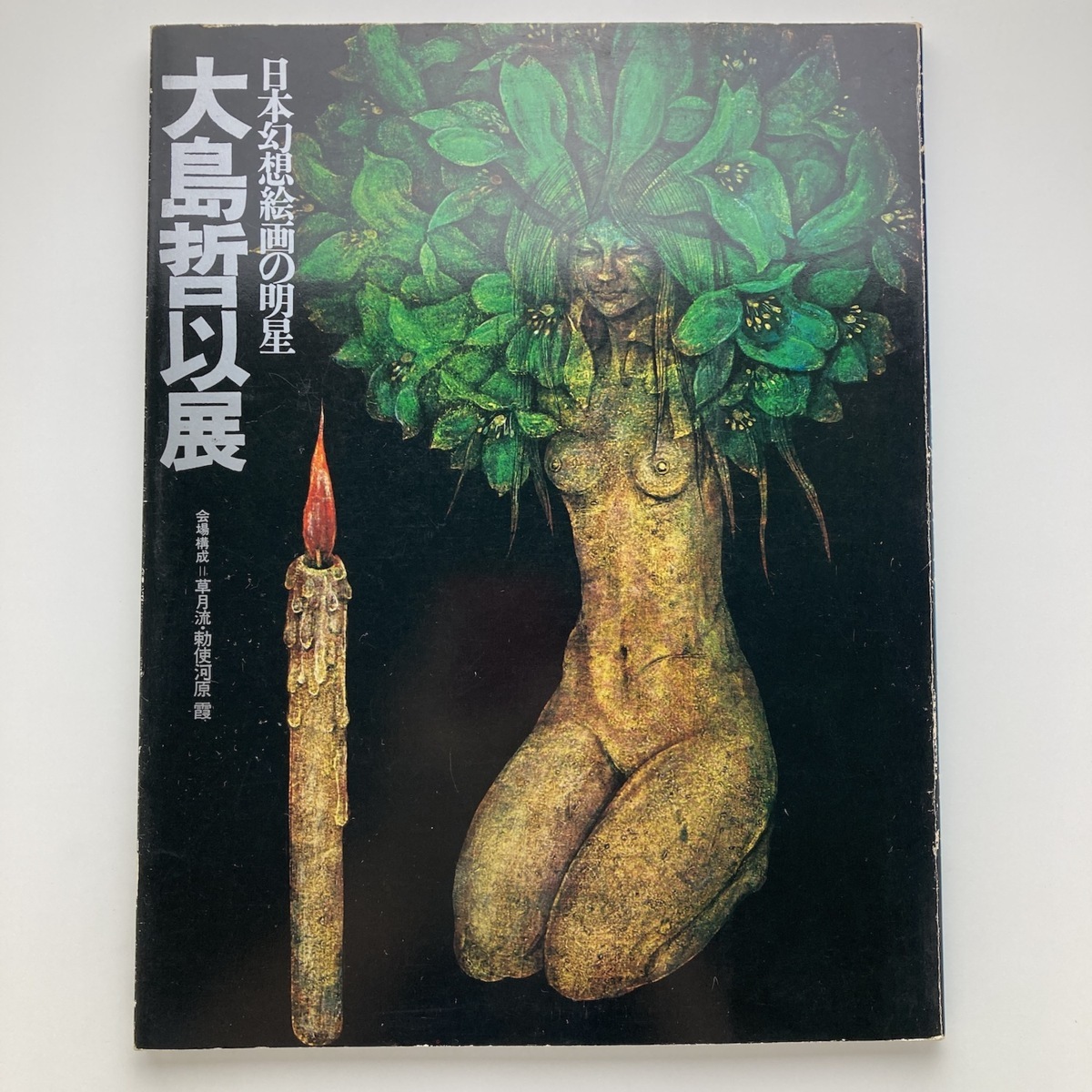 日本幻想絵画の明星 大島哲以展 日本橋三越 毎日新聞社 1973年 ゆうメール, 絵画, 画集, 作品集, 図録