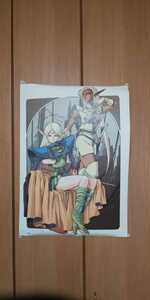  poster Record of Lodoss War pillow tea sti-dolito