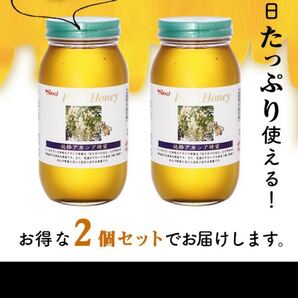 上品でクセのない、さっぱりした味わい 【純粋アカシア蜂蜜(瓶) 1000g×2個
