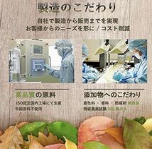 【お徳用6か月分】吸収UP鉄分 (180日分) 美容/健康/サプリ/ 鉄 レディース 葉酸　プラス_画像4