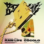 サイプレス上野とロベルト吉野 / RAW LIFE FEAT. 鎮座DOPENESS / COCOLO (7)