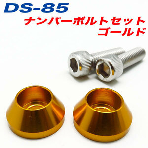 ナンバーボルト ナンバープレートボルト 車 ゴールド GOLD 2個入 アルファ DS-85