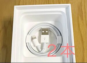 Apple iPhone充電ケーブル2本