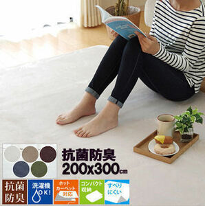  rug ... rug mat mat 200×300 approximately 4 tatami spring summer anti-bacterial deodorization slip prevention attaching west coastal area rug carpet sweat hot carpet correspondence 