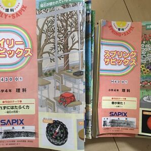 2019年度 サピックス 小学4年 理科