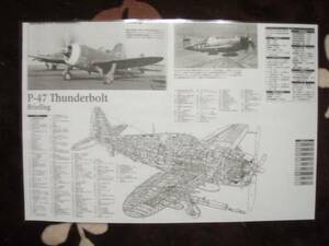 透視イラスト　アメリカ陸軍航空隊　P47Dサンダーボルト戦闘爆撃機