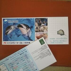 ●ミニレター可　●即決　1～２枚　【新江ノ島水族館　招待券】～９月３０日　