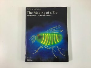 The Making of a Fly ハエの構成　動物デザインの遺伝学　洋書/英語/昆虫/分子生物学/蝿/【ta03c】