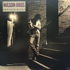 U LP AOR Wilson Bros. ウィルソンブラザーズ アナザー・ナイト Another Night レコード 5点以上落札で送料無料