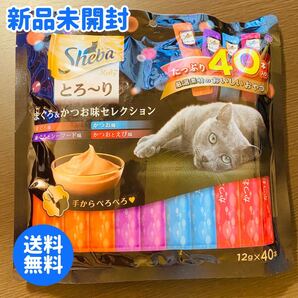 シーバ とろ〜りメルティ まぐろ&かつお味セレクション(12g*40本入)