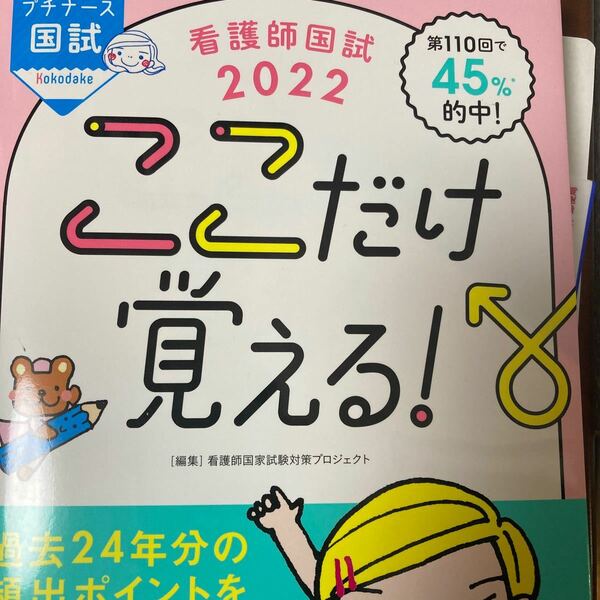 看護師国試2022 ここだけ覚える! (プチナース)