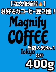 【匿名配送】自家焙煎コーヒー豆 珈琲豆 お好み2種類(合計400g) 約40杯分