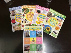 値下げ！！　がくしゅうひかりのくに　別冊　年4冊　他に「クイズではっけんずかん」★美品★