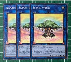 遊戯王　SLT1-JP032　「聖天樹の精霊」　ノーマル　3枚セット　未使用美品