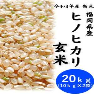 ヒノヒカリ 20kg 玄米 3年産 お米